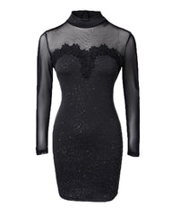 Shimmering Mesh Floral Embroidery Patchwork Round Neck Long Sleeve Bodycon Dress