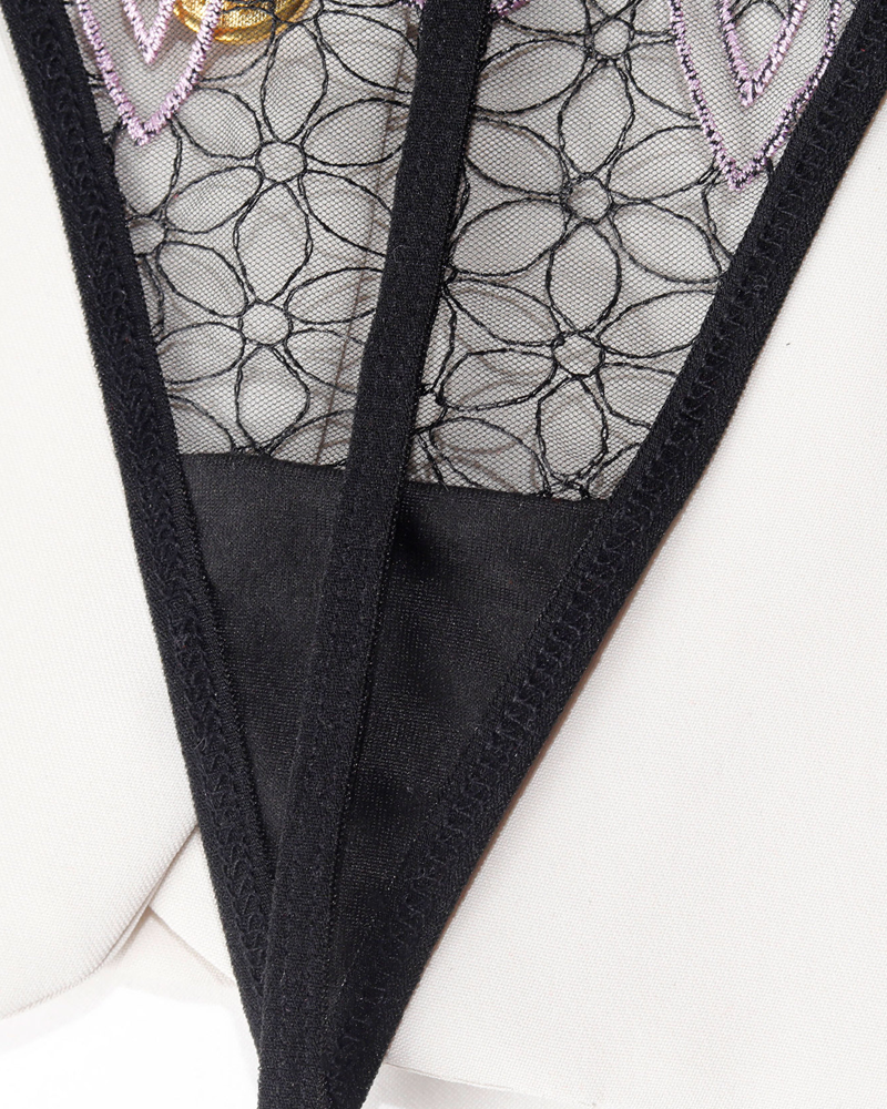 Embroidered Mesh Bustier Lingerie Set