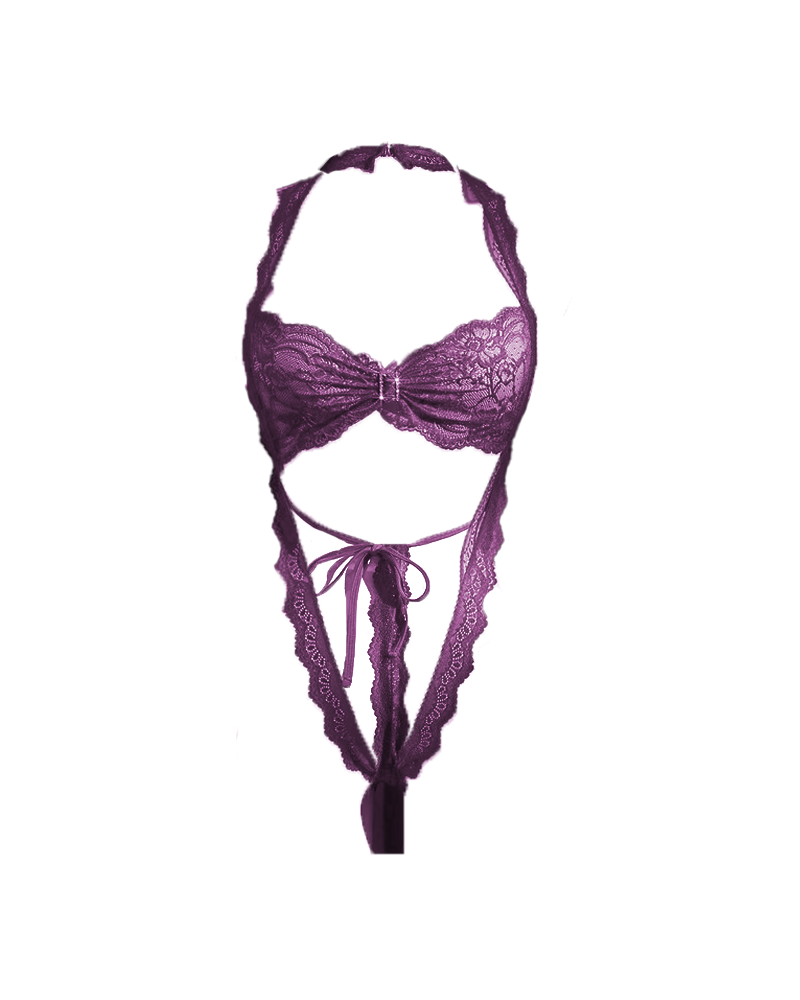 Sheer Lace-trim Sheer Bodysuit.