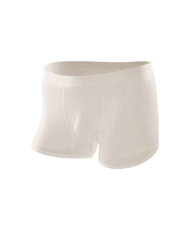 Men's Ice Silk Comfortable Thin Seamless Breathable Underwear