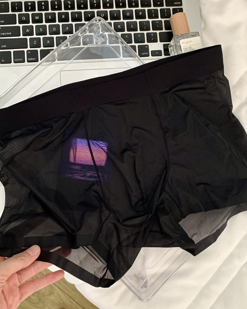 Men's Ice Silk Comfortable Thin Seamless Breathable Underwear