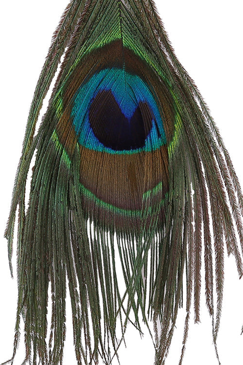 Peacock Feather Crystal Earring