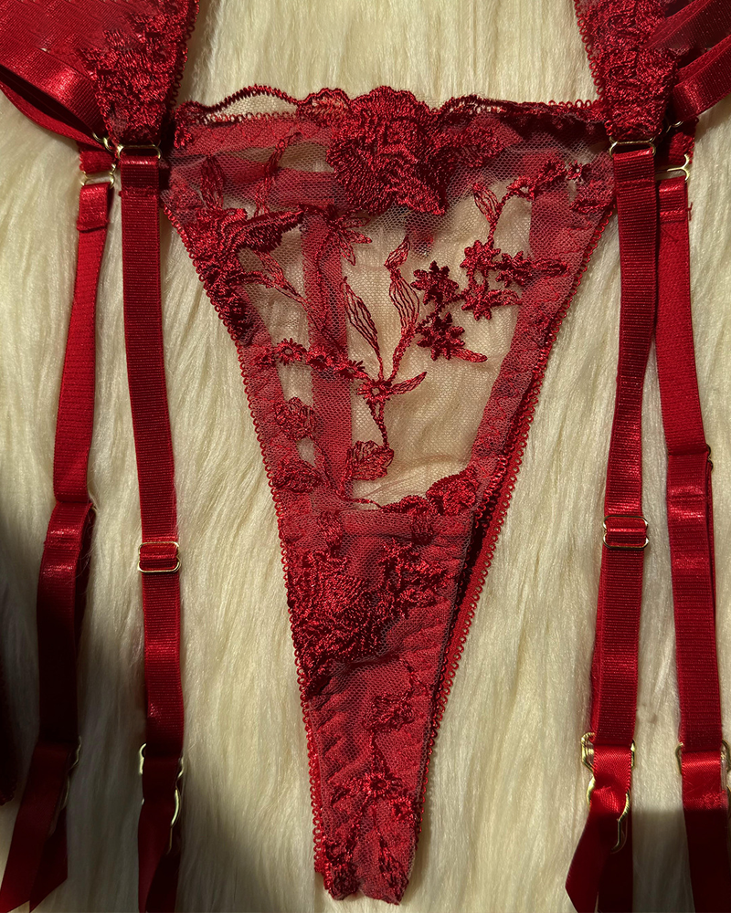 Sheer Embroidered Mesh Lingerie Set