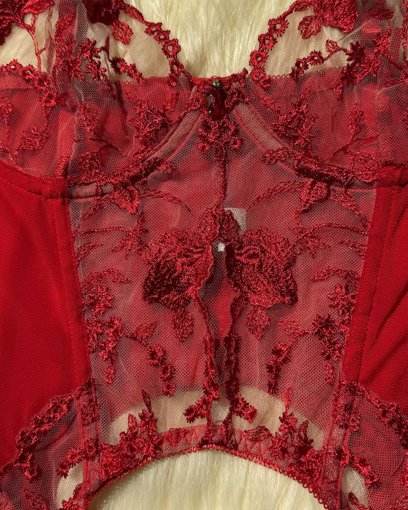 Sheer Embroidered Mesh Lingerie Set