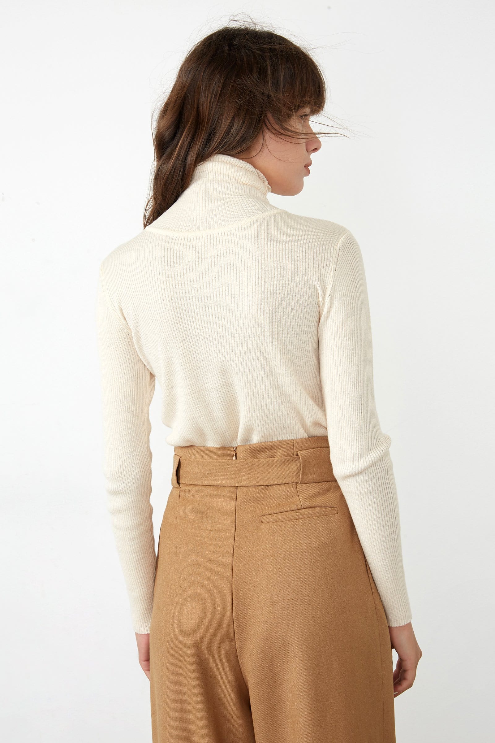 Solid Beige Premium Wool Turtleneck Sweater