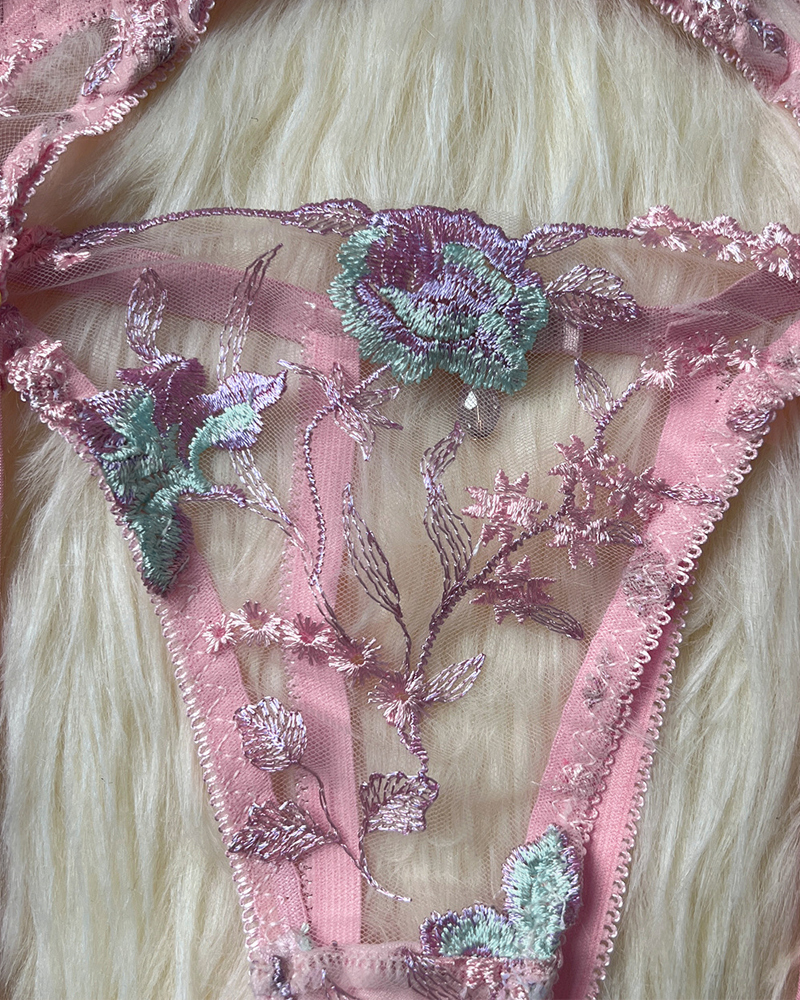 Sheer Embroidered Mesh Lingerie Set
