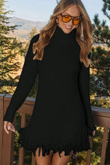 Convincingly Cozy Tassel Knit Dress -3 Colors