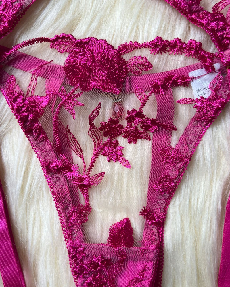 Sheer Embroidered Mesh Lingerie Set