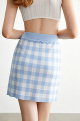 Ophelia Blue Checkered Skirt
