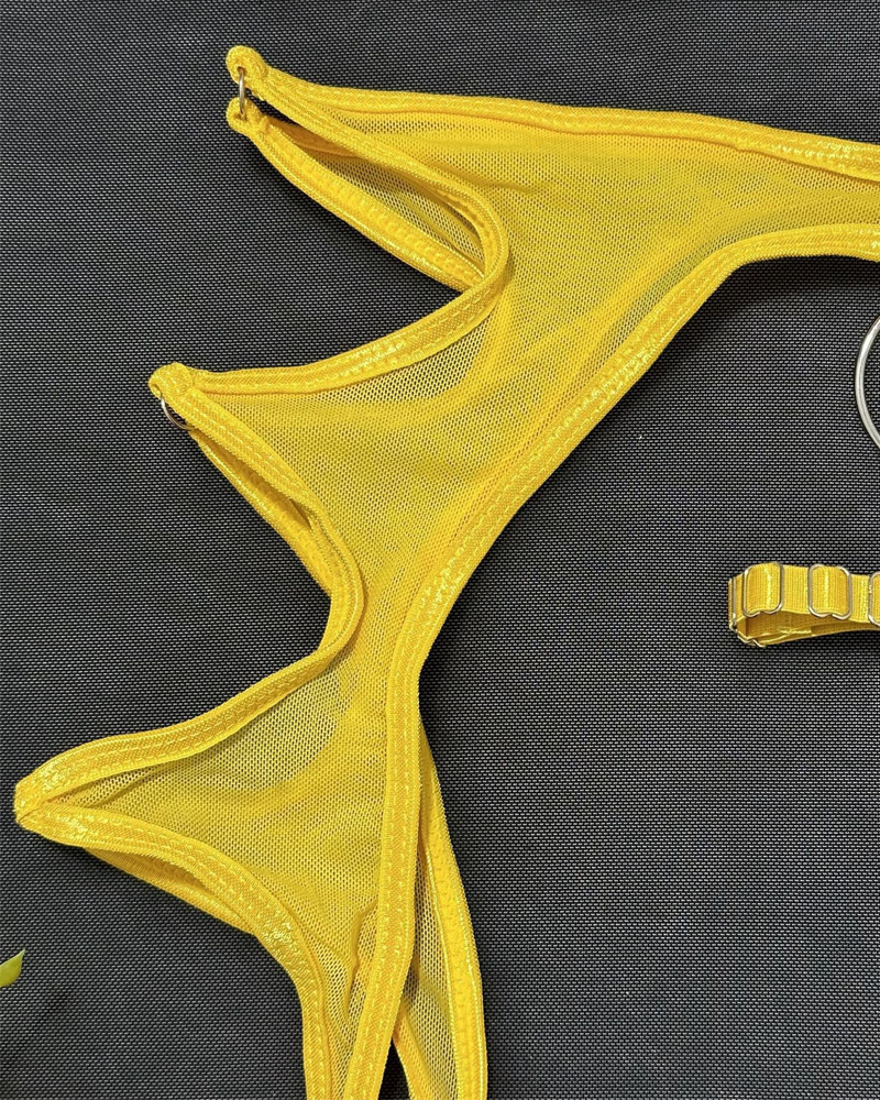 Metal O-Ring Cutout Sheer Mesh Lingerie Set