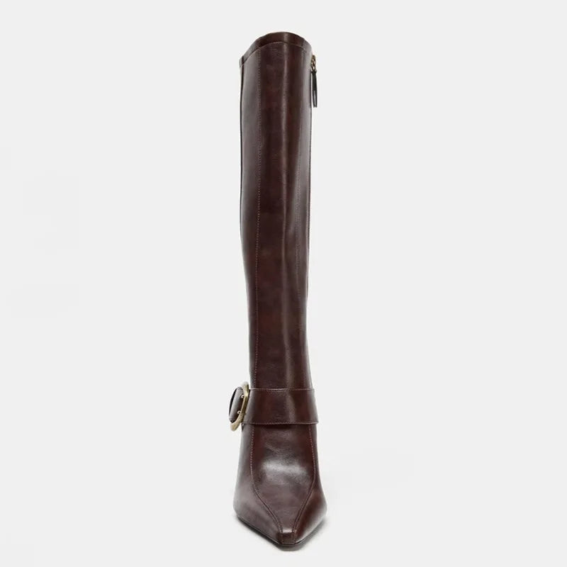 Brown Pointed Toe Knee High Boots