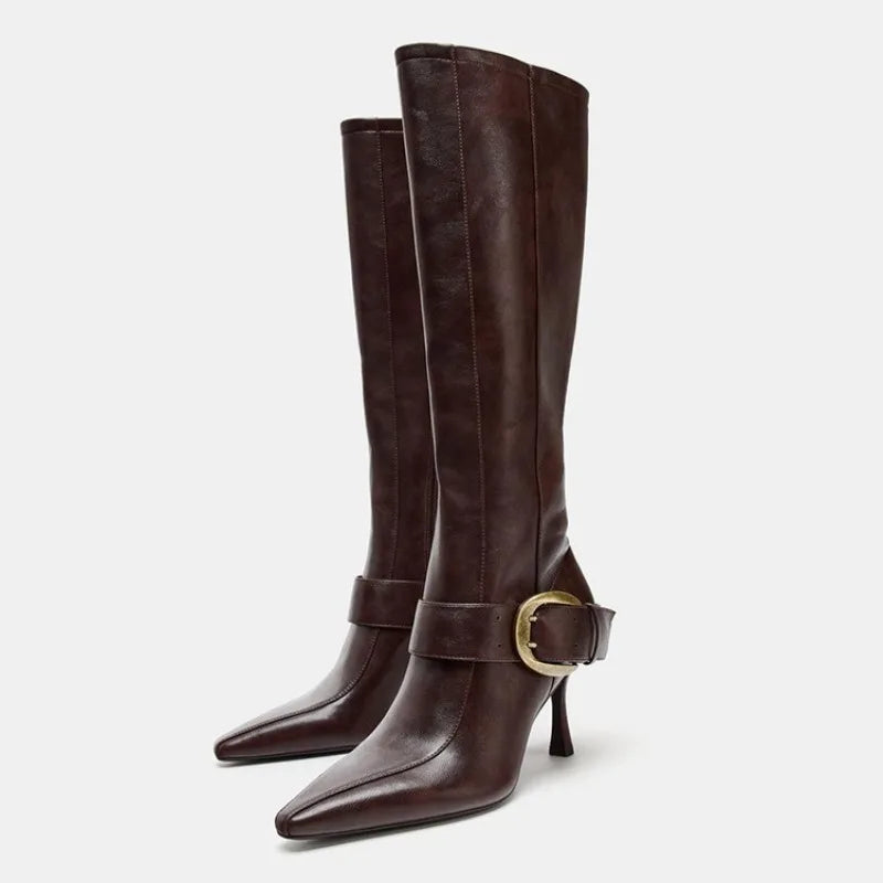 Brown Pointed Toe Knee High Boots
