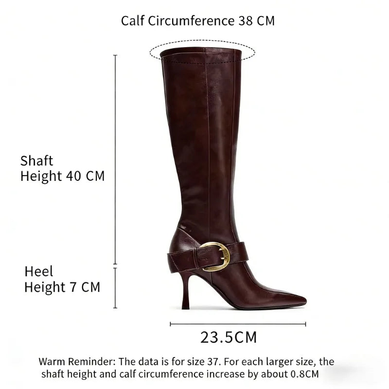 Brown Pointed Toe Knee High Boots