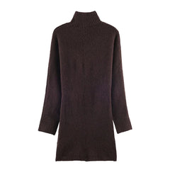 Winter Long Sleeve Turtleneck Soft Knitted Short Dresses