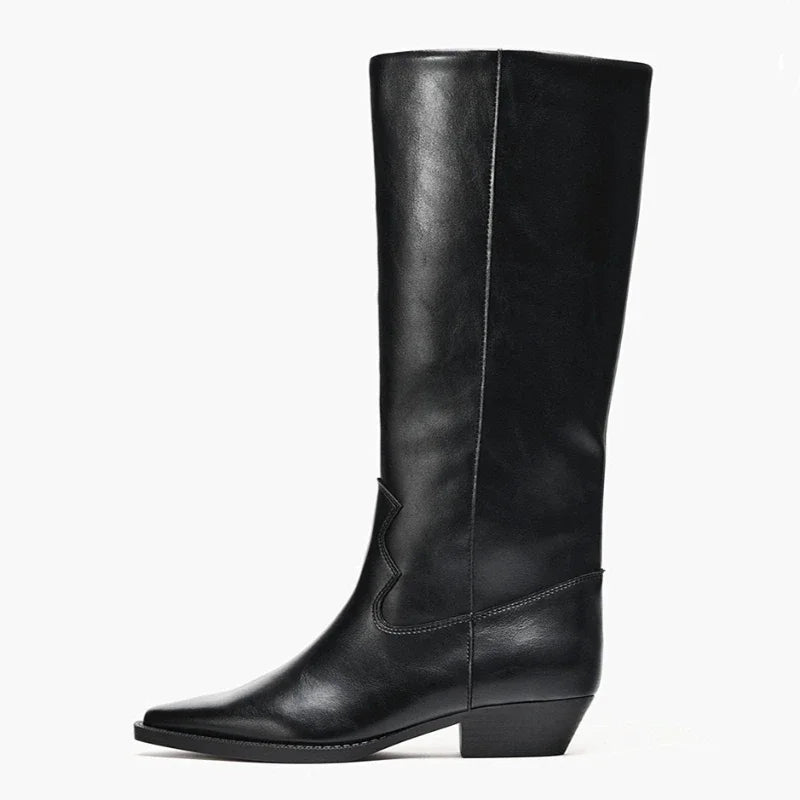 Sexy Pointed Toe Knee Boots