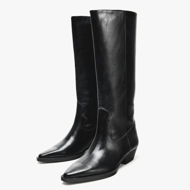 Sexy Pointed Toe Knee Boots