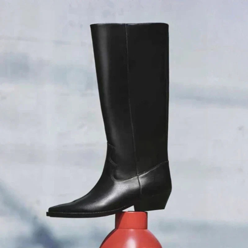 Sexy Pointed Toe Knee Boots