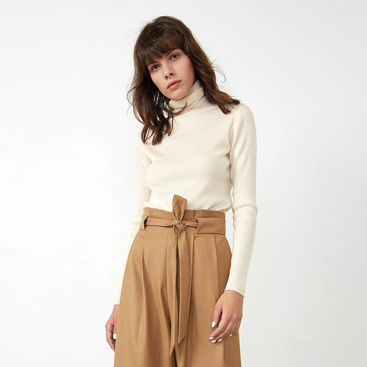 Solid Beige Premium Wool Turtleneck Sweater